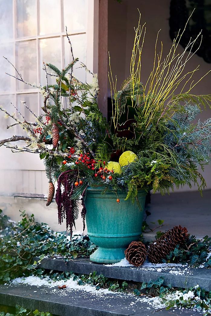 a large potted plant sitting on top of a stone step next to a window