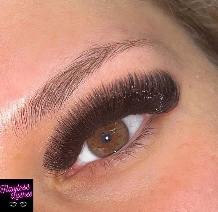 Volume Lash Set, Lash Tips, Volume Lash Extensions, Volume Lashes, Lash Extensions, Eyelash Extensions, Get Up, Hair And Nails, Cruelty Free