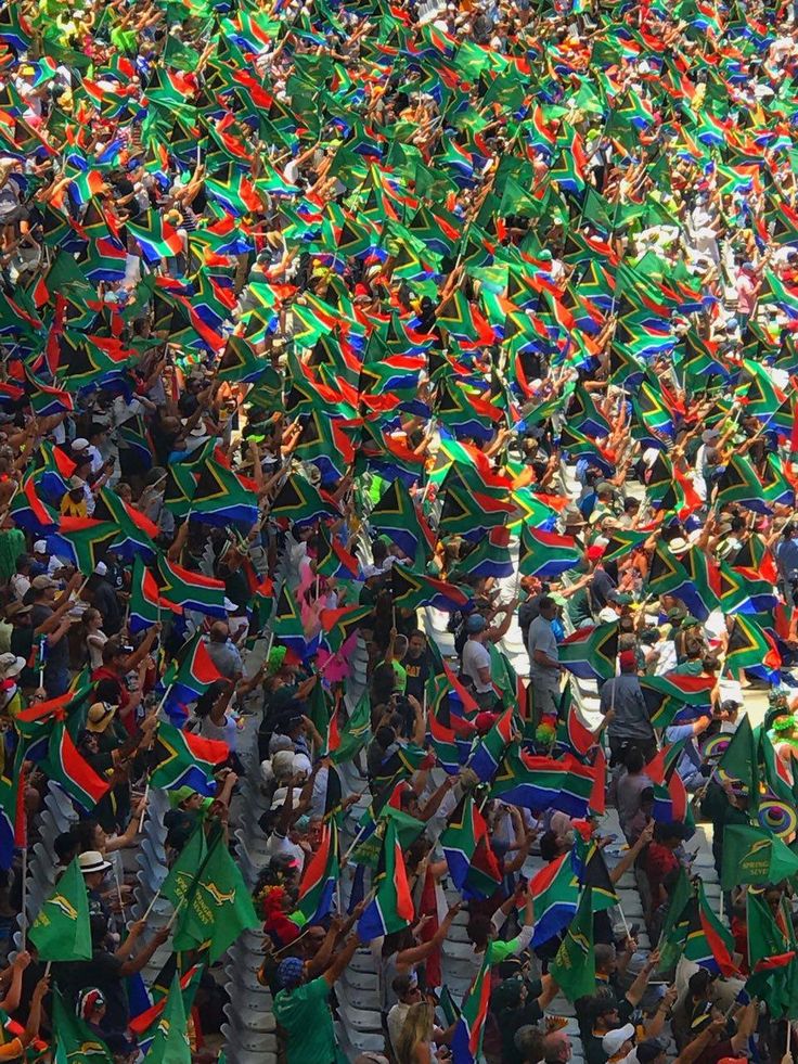 a large group of people are holding flags