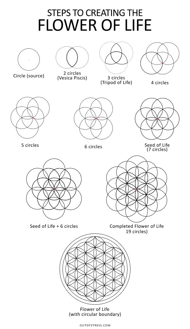 the flower of life diagram is shown in black and white, with instructions for how to draw