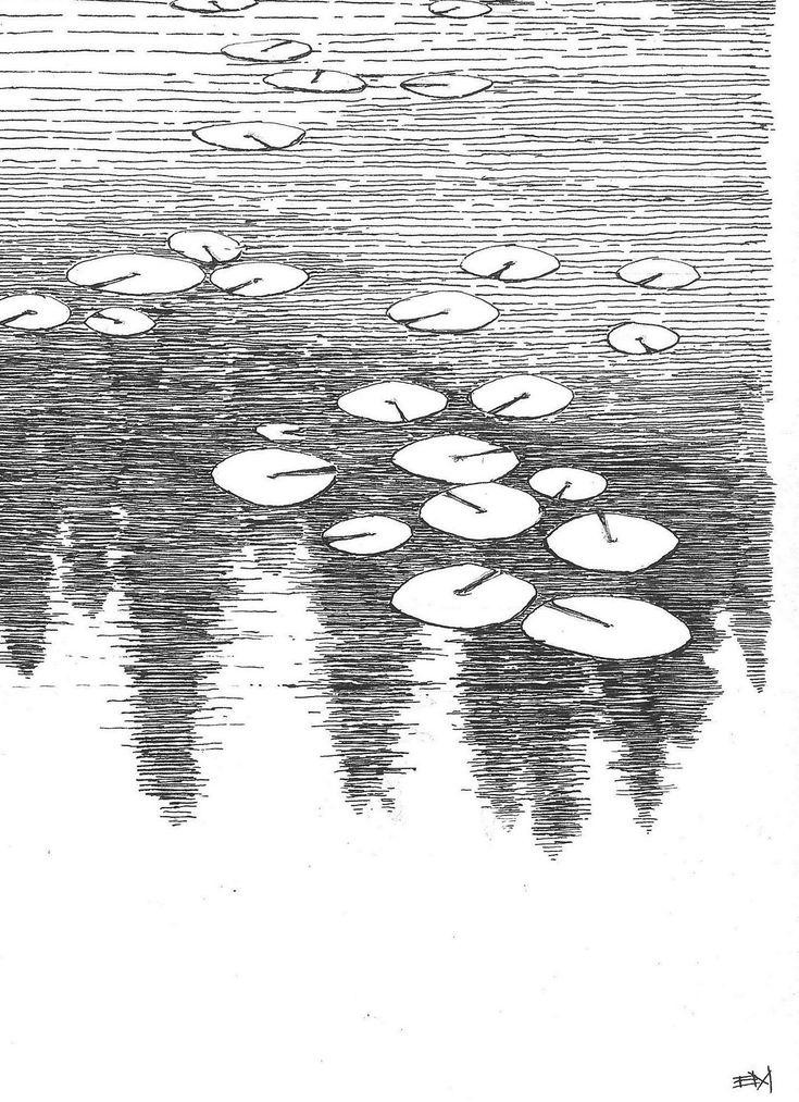 an ink drawing of lily pads floating on water