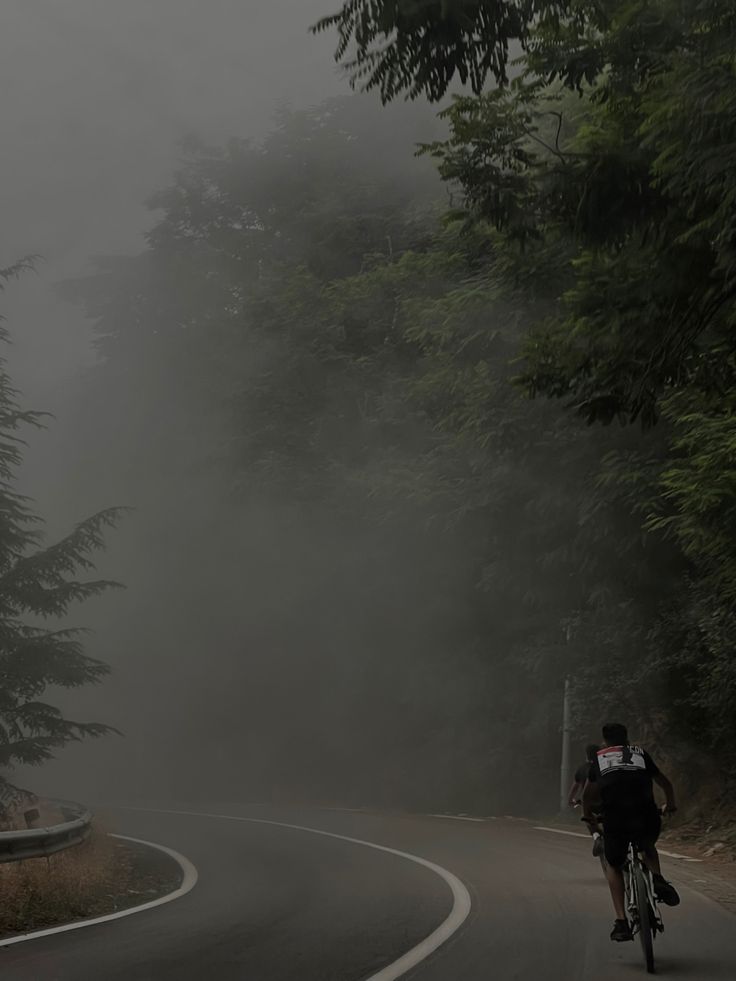 a person riding a bike on a foggy road