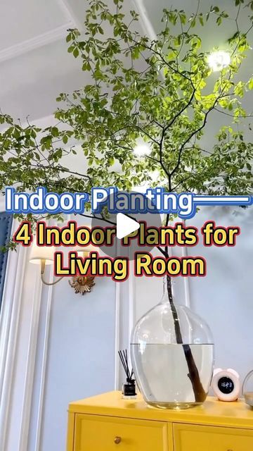 the indoor plants for living room are hanging from the ceiling and on top of a yellow dresser