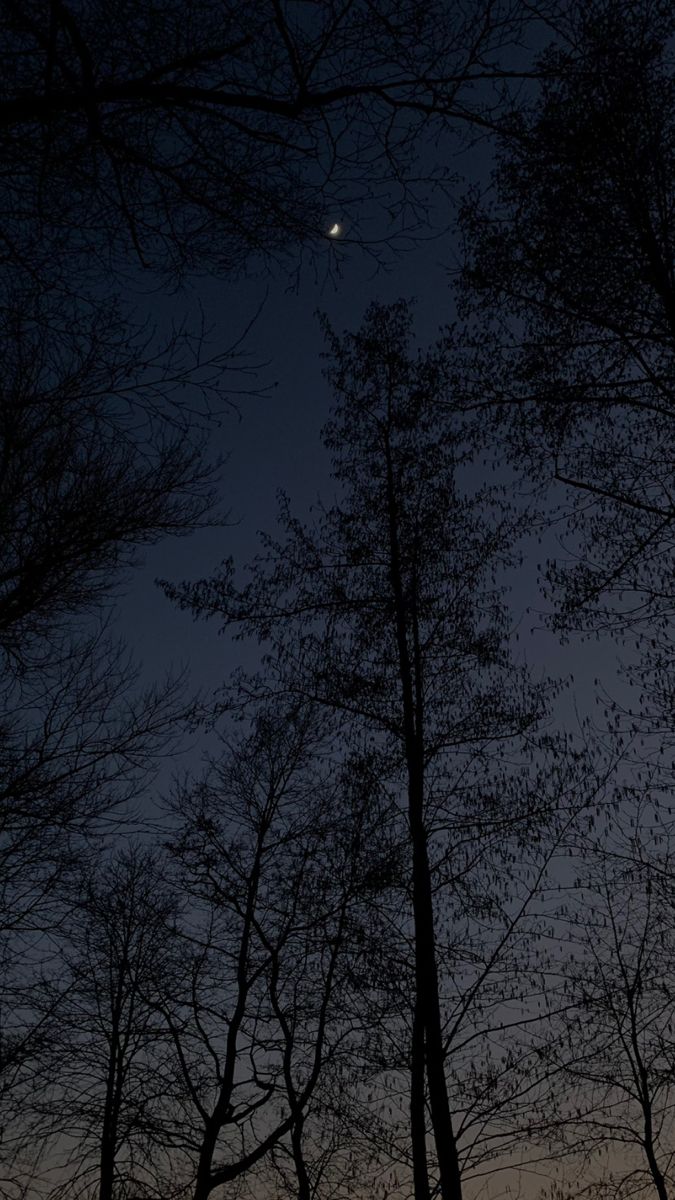 the moon is setting behind some trees