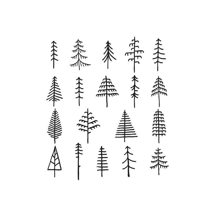 the trees are drawn in black and white on a white background, as well as an outline