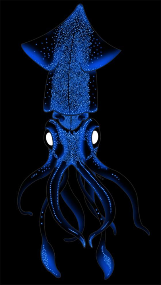 an octopus with blue lights on its head and tentacles in the water, against a black background