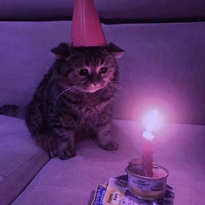 a cat sitting on a couch with a birthday hat on its head next to a lit candle