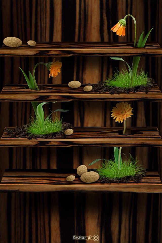 the shelf is made out of wood and has grass growing from it, rocks and flowers