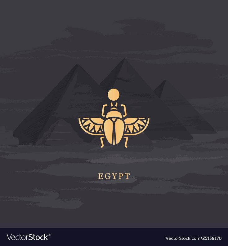 an egyptian bug with the name egypt on it's chest and head in front of some pyramids