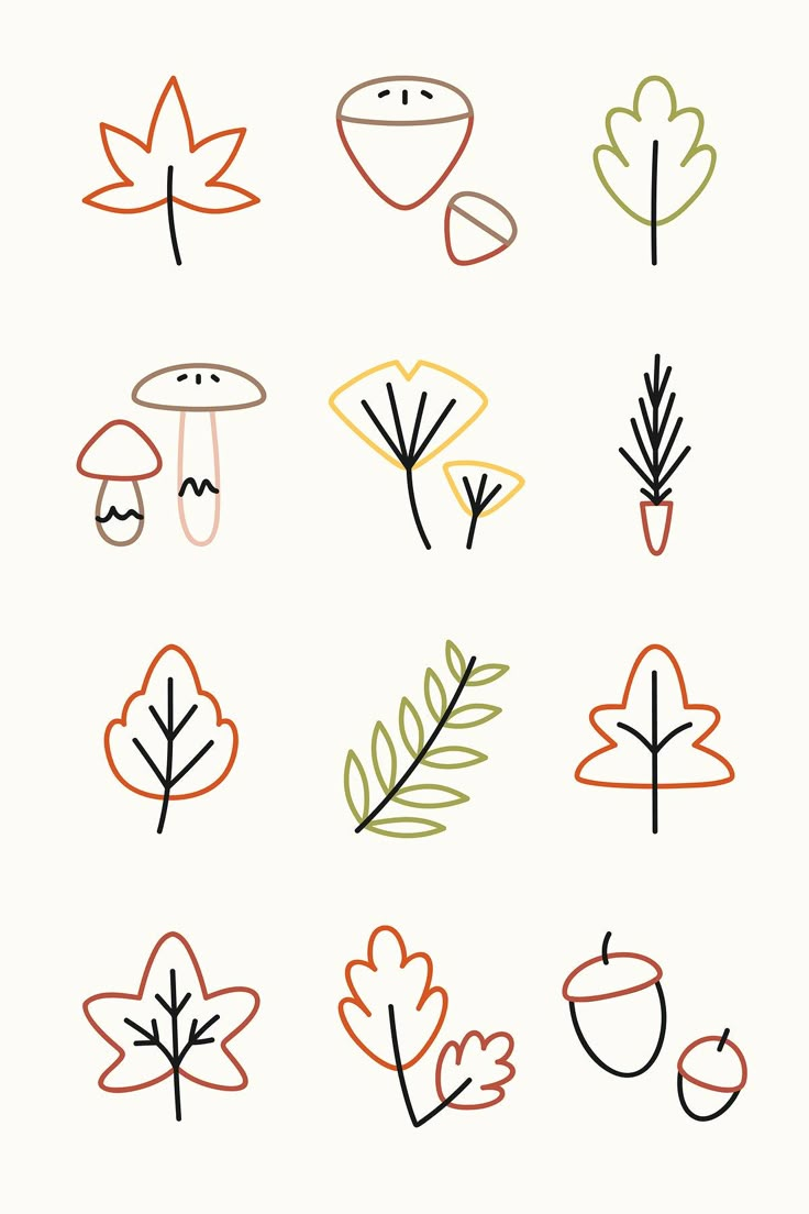 an image of different types of leaves