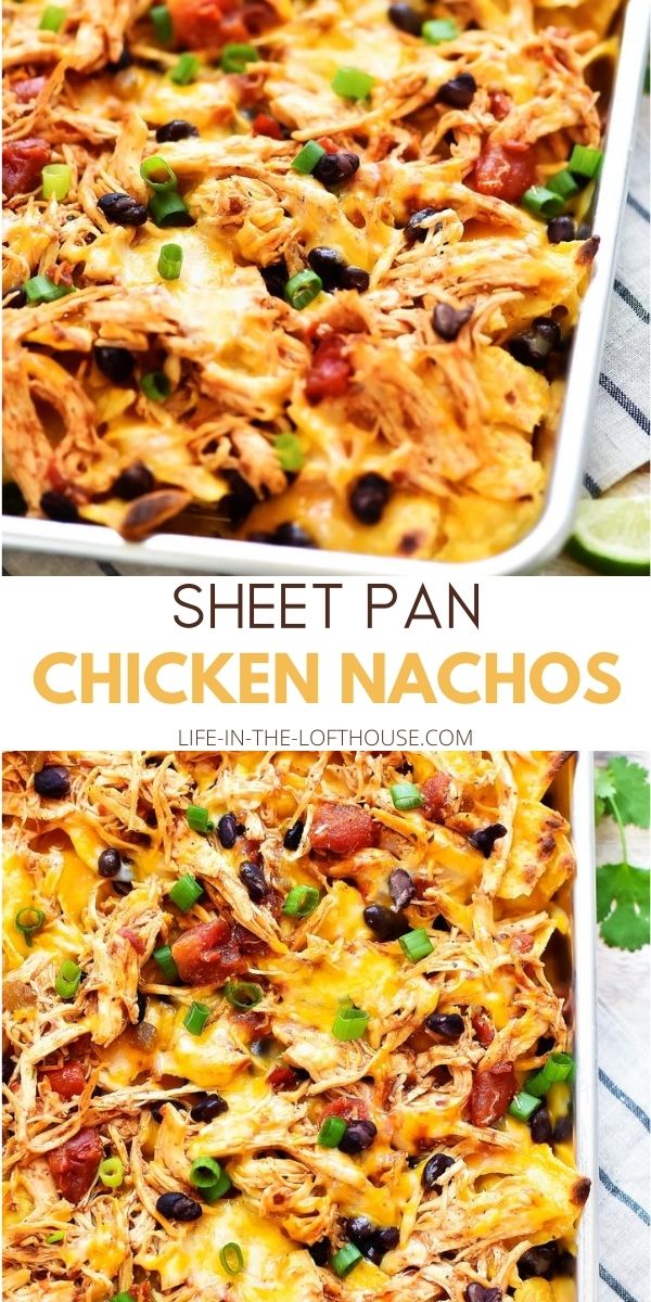 chicken nachos in a white casserole dish with cheese and black olives