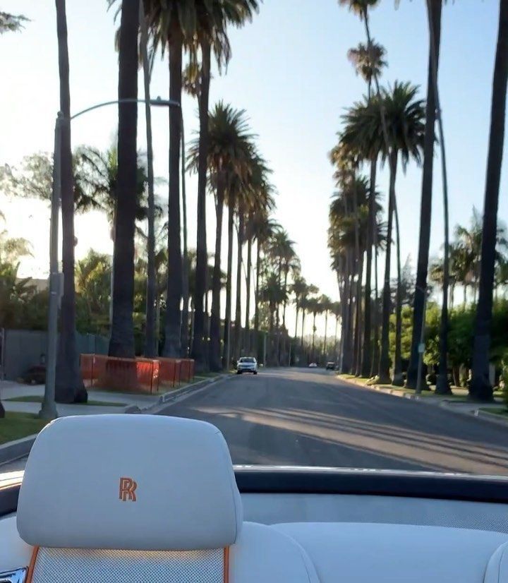 the inside of a car with palm trees on both sides and a street in the background