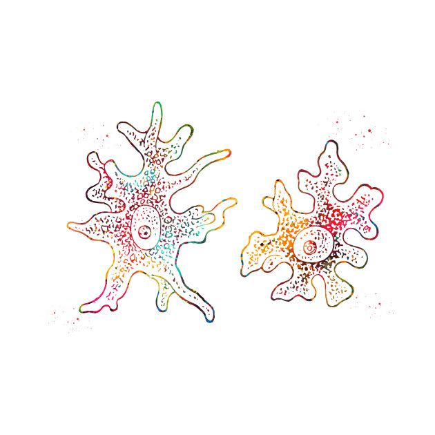 an image of two different colored flowers on a white background and one is drawn with markers