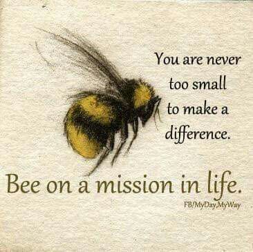 a bee on a mission in life card with the words you are never too small to make a difference