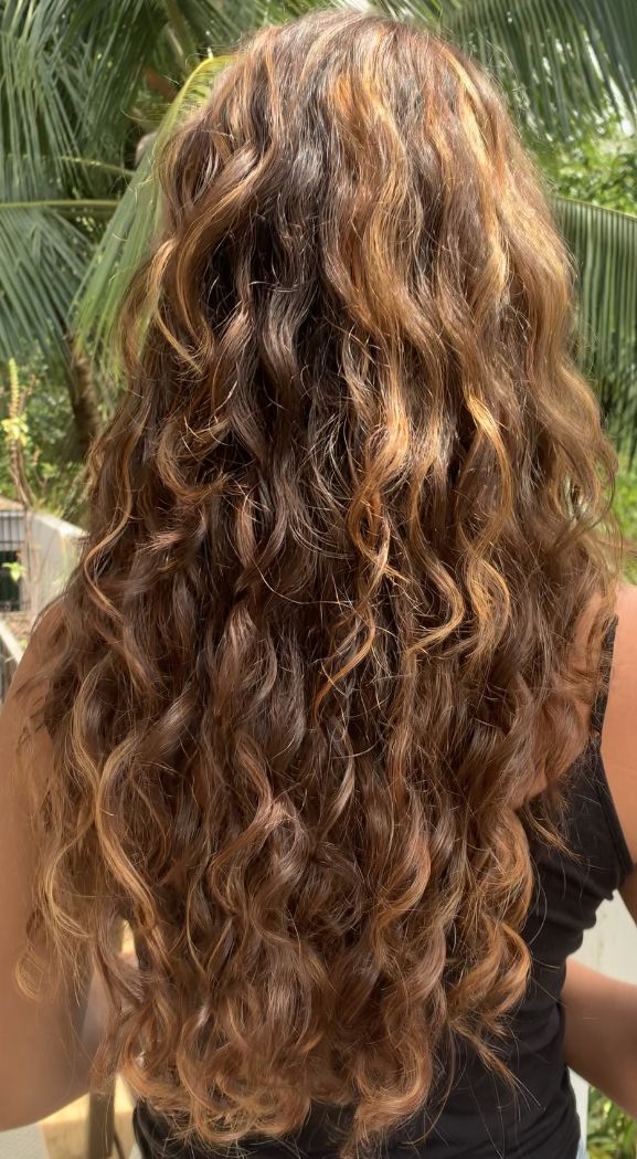 Brown Curly Hair Highlights, Highlights On Wavy Hair, Honey Blonde Highlights Curly Hair, Summer Hair Aesthetic, Brown Beach Hair, Light Brown Wavy Hair, Long Wavy Hair Natural, Light Brown Curly Hair, Long Brown Curly Hair