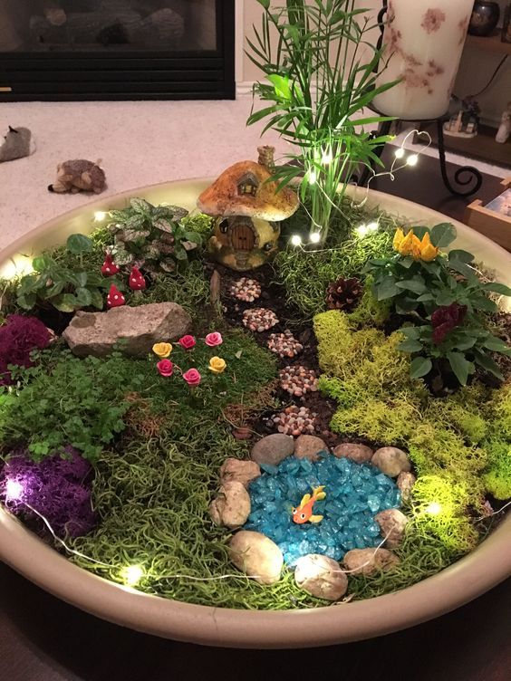 a bowl filled with lots of plants and rocks