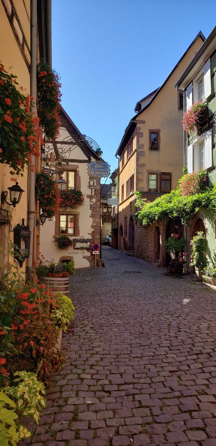 a cobblestone street in an old european town with flowers growing on the buildings