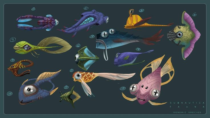 some fish that are all different colors and sizes on a black background, with bubbles in the water