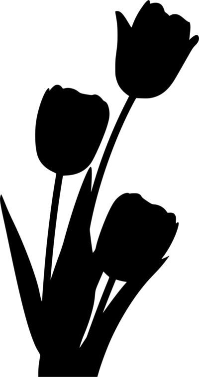 three tulips are in a vase on a white background, one is black and the other is white