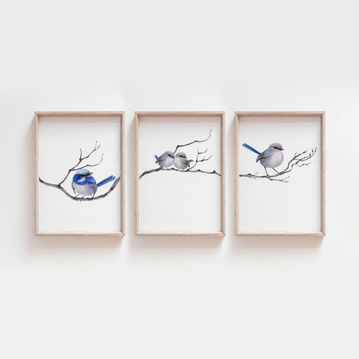 three framed pictures with birds sitting on branches