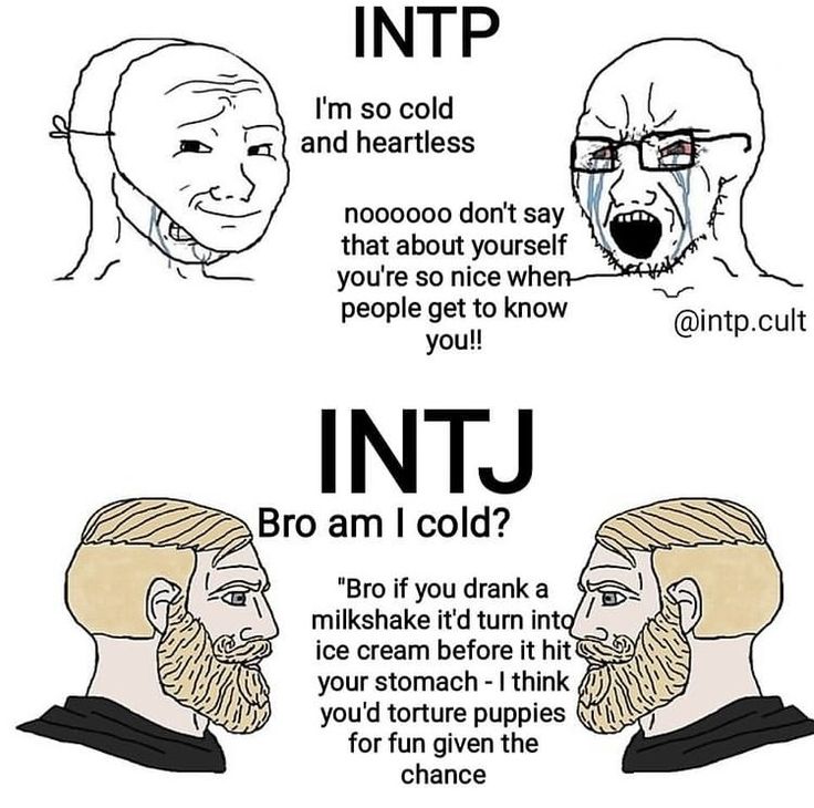 Intp Intj Memes Funny, Intp Personality Art, Mbti Intp Meme, Intj Memes Humor, Intj T Personality, Intj And Intp Relationships, Enfp X Intj Meme, Intj And Intp Funny, Intp Intj Relationship