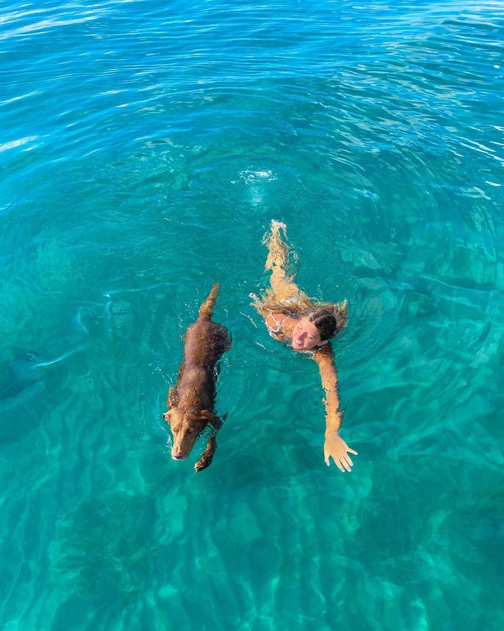 two dogs are swimming in the clear blue water