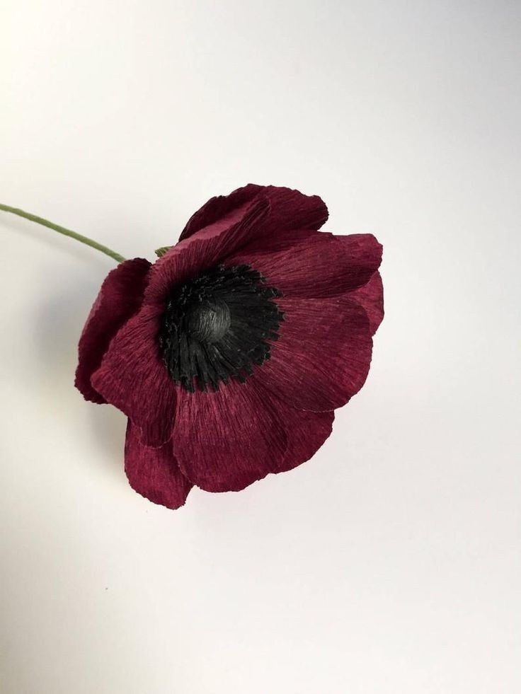 a red flower with black center sitting on a white surface