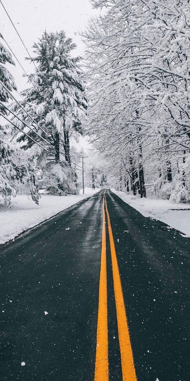 an empty road with snow on the trees and one yellow line in the middle is surrounded by evergreens