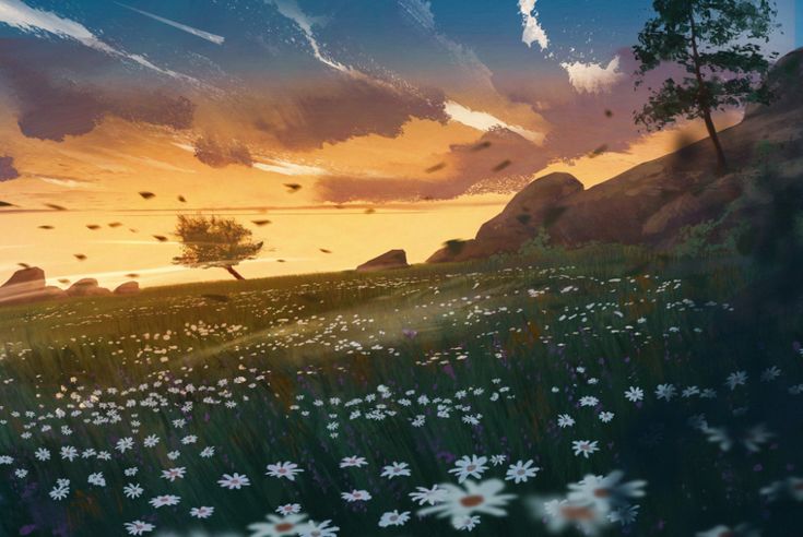 the sun is setting over a field full of daisies