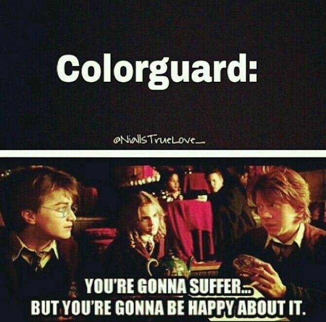 Color Guard Tips, Color Guard Funny, Color Guard Memes, Color Guard Quotes, Color Guard Shirts, Marching Band Problems, Marching Band Memes, Band Problems, Color Guard Flags