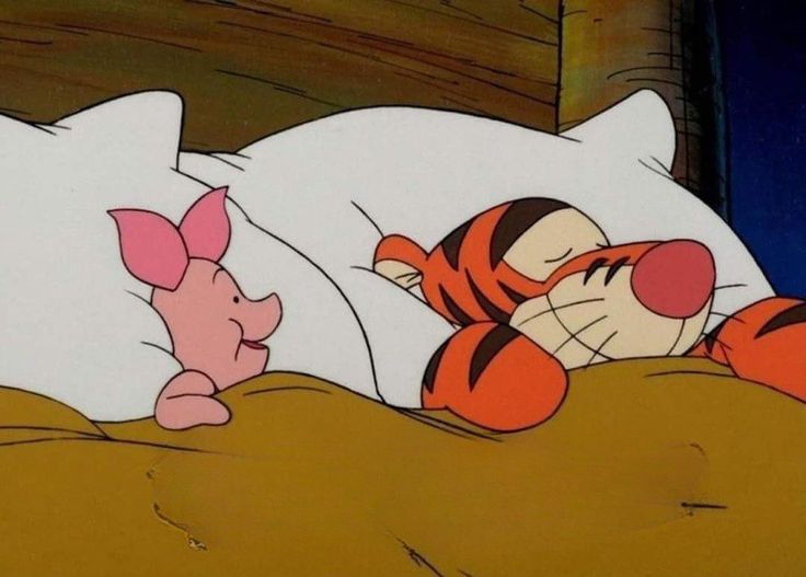 winnie the pooh and piglet sleeping together in bed