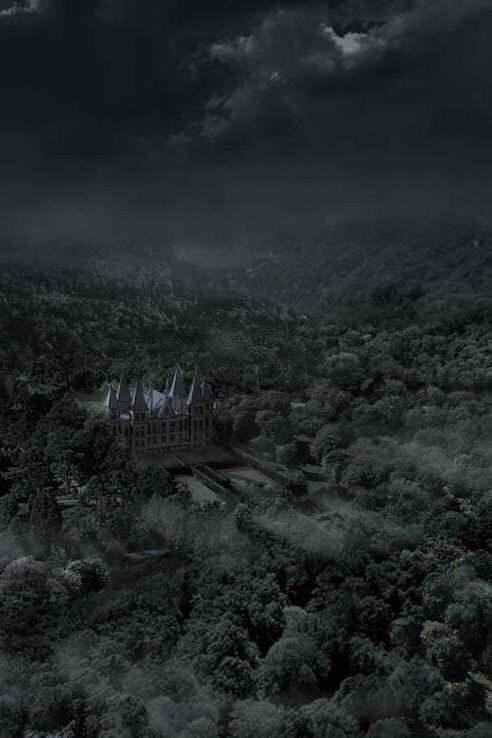 an aerial view of a castle in the middle of a forest with dark clouds overhead