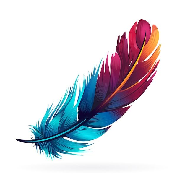 a colorful feather on a white background