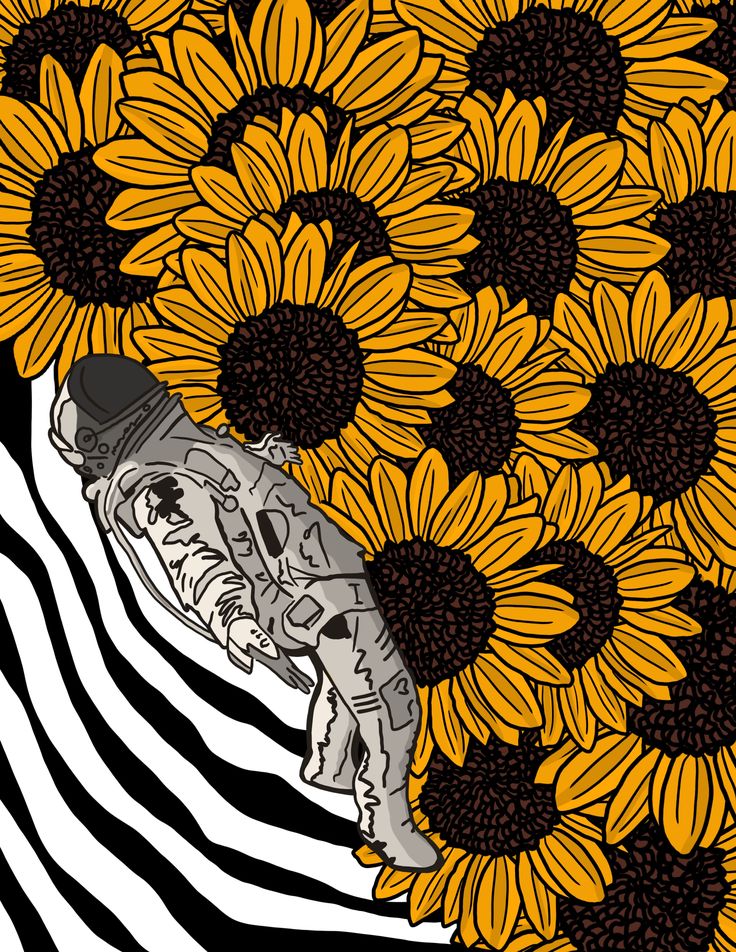 a zebra is standing in front of a bunch of sunflowers that are yellow and black