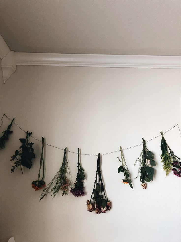 dried flowers hanging on a clothes line against a white wall