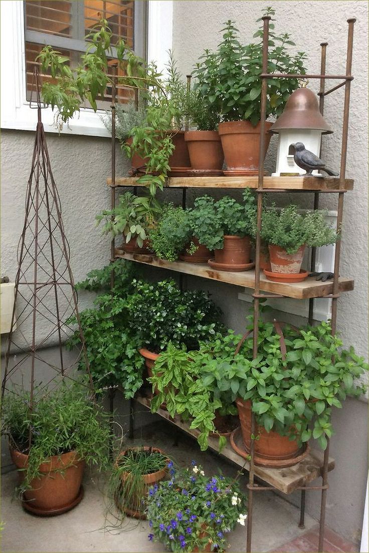 several potted plants on shelves in front of a building with an iron pipe rack