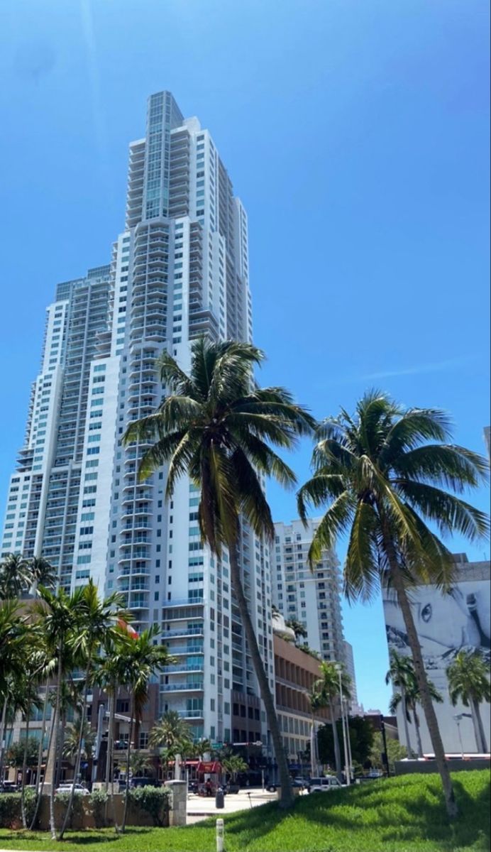 palm trees in front of tall buildings on a sunny day