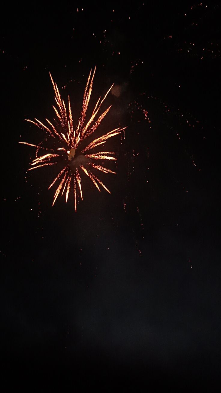 fireworks are lit up in the dark sky with no people around them to see it