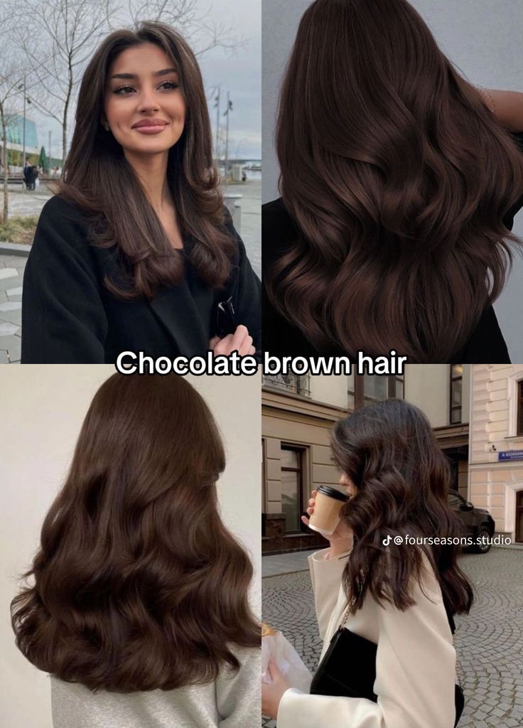 Brown Hair Colour On Black Hair, Long Brown Chocolate Hair, Chestnut Brown Hair Tan Skin, Chocolate Hair Color Balayage, Natural Colors To Dye Your Hair, Coco Brown Hair, Hair Colour Video, Natural Hair Dye Ideas, Dark Chocolate Hair