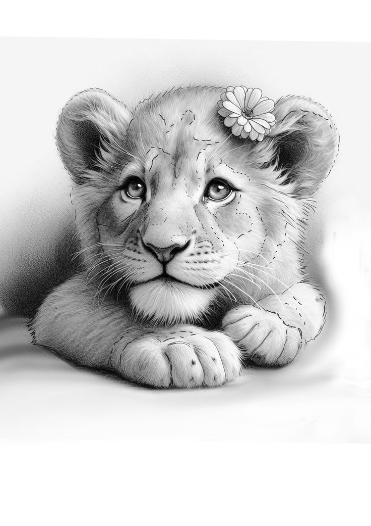 a black and white drawing of a baby lion laying on the ground with flowers in its hair