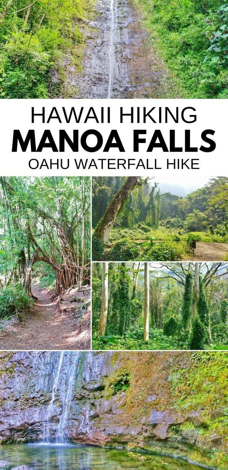 hawaii hiking manoa falls, caho waterfall hikes and other things to see