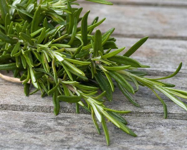 fresh rosemary sprigs tied up on a wooden table