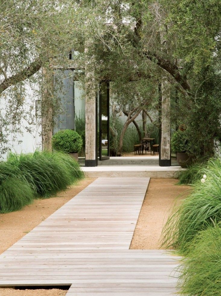 a wooden walkway leading to a white building surrounded by tall grass and trees in the background