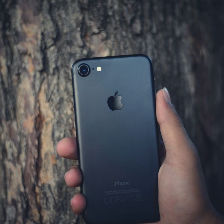 a person holding an iphone in their hand near a tree trunk with no leaves on it