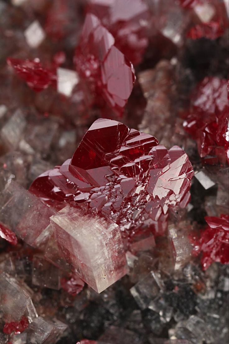 Cinnabar - Locality: Idria Mine, Idria, Gorica Region, Slovenia Size Range: Small cabinet (7-10 cm) Size: 7 × 4 × 3.5 cm Rubys Aesthetic, Cinnabar Crystal, Character Vibes, Red Gems, Blood Stone, Crystal Aesthetic, Small Cabinet, Red Rocks, Red Crystals