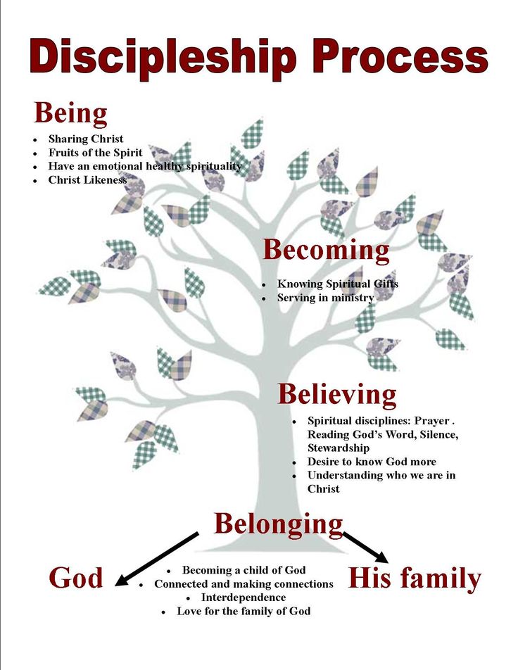 a tree with the words discipleship process on it and an arrow pointing to each other