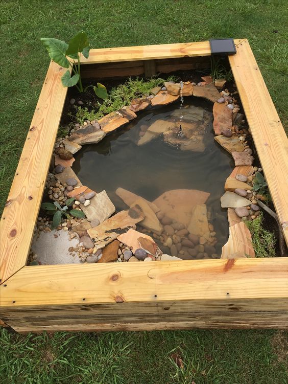 a small pond in the middle of some grass with rocks and plants growing out of it