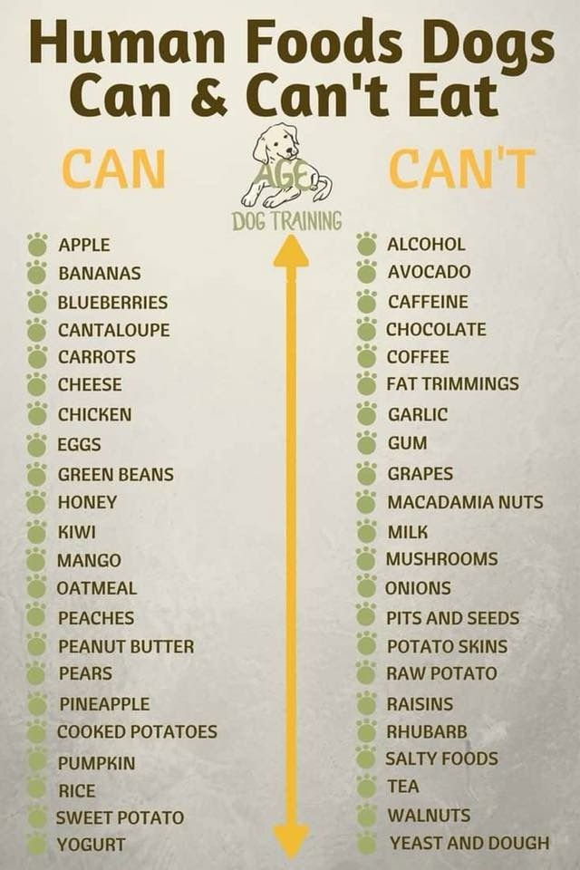 a poster with the words human foods dogs can and can't eat on it