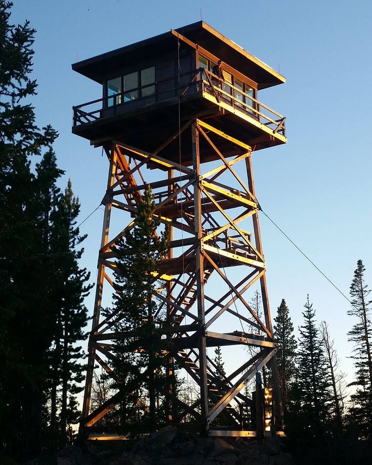 a tall wooden tower sitting on top of a lush green forest next to a forest