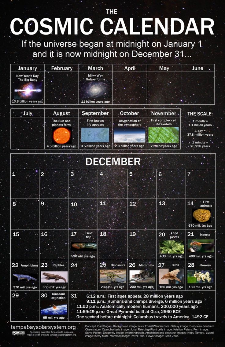 the cosmic calendar for december is shown